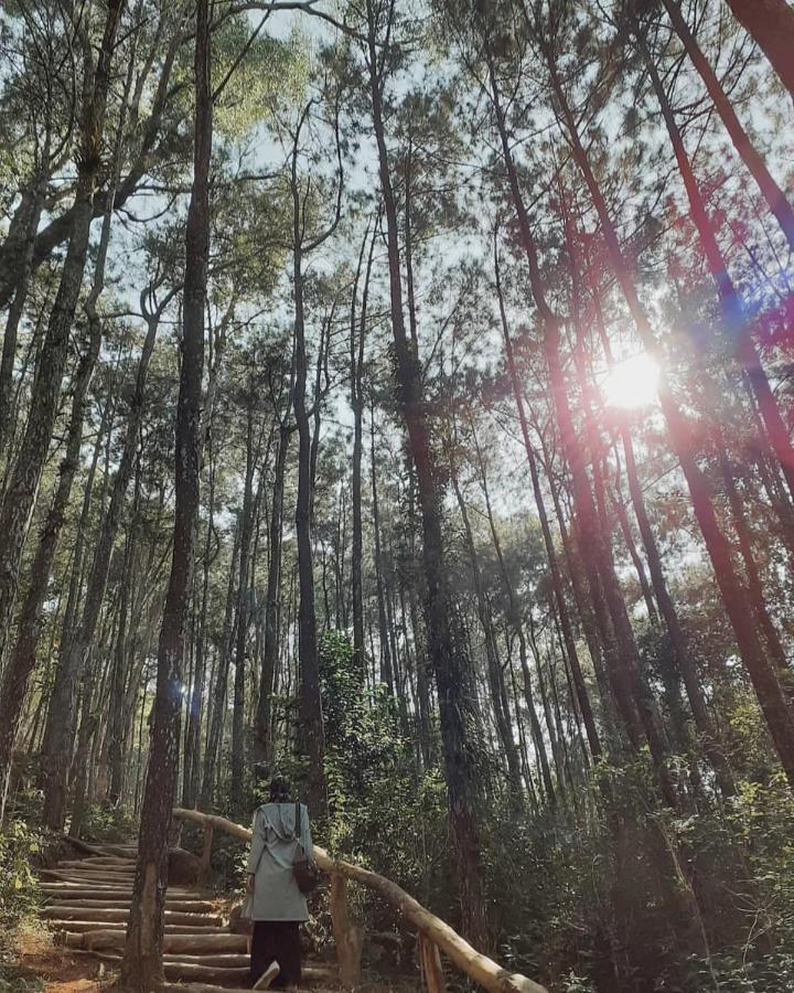 באנטול Seribu Batu Songgo Langit Resort & Camp מראה חיצוני תמונה